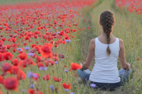 meditation aux coquelicots