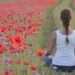 meditation aux coquelicots